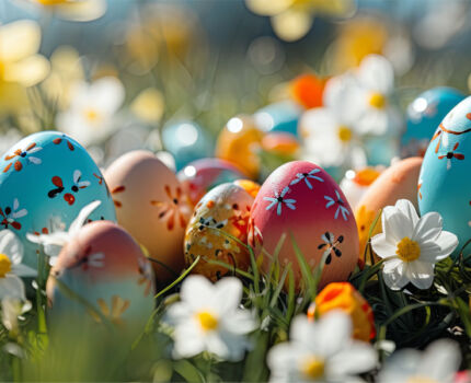 Wesołych świąt Wielkanocnych 🐣